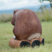 Wildcrete Beaver